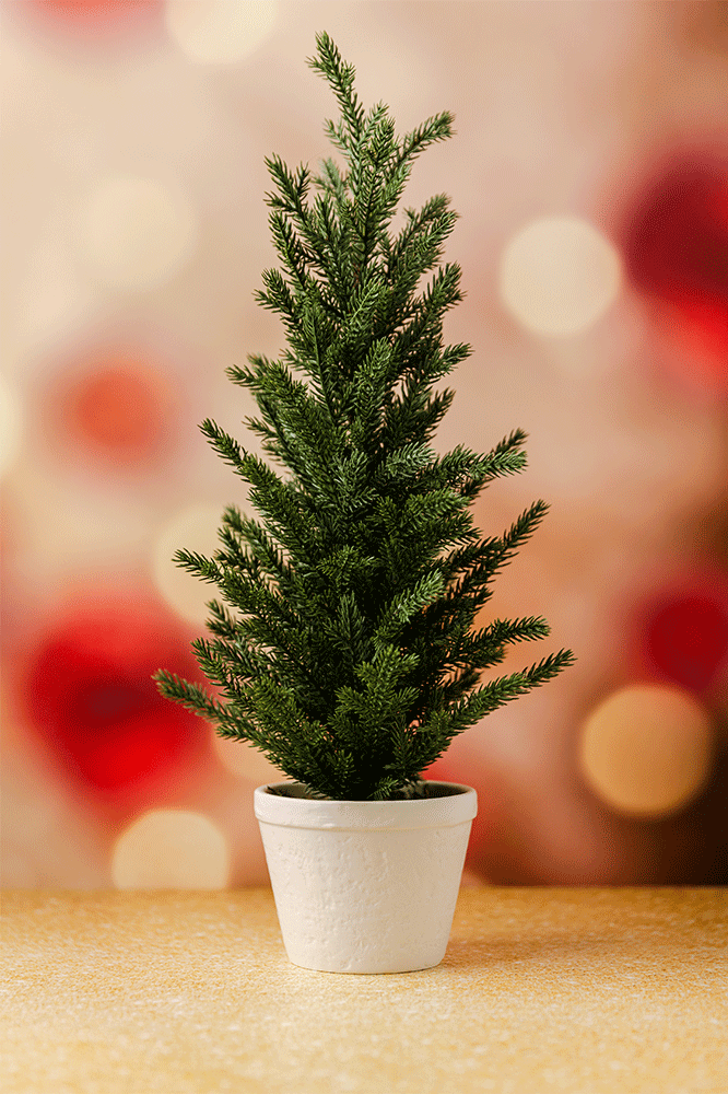 Frosted Fir - Replica Surfaces